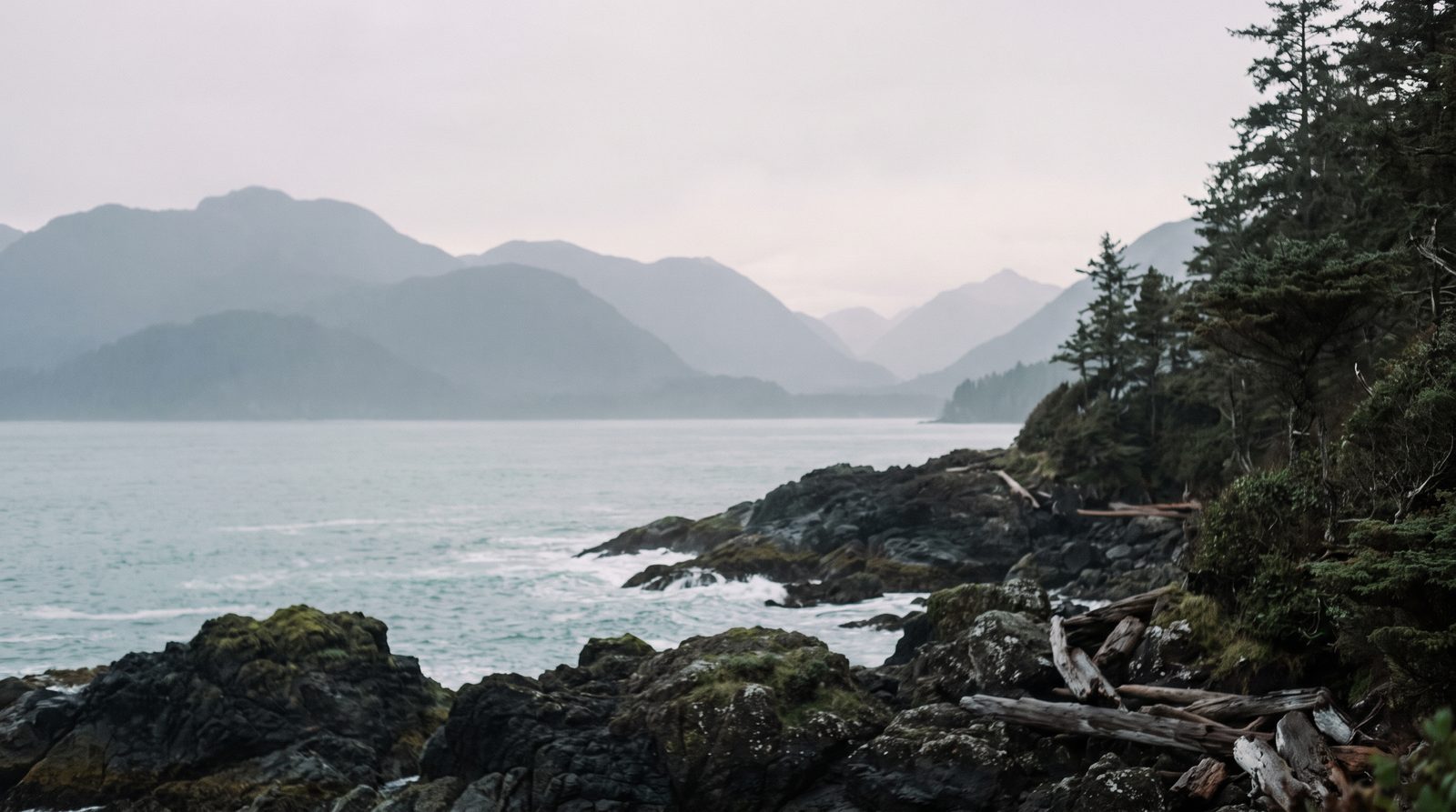 Muted Pacific coastal landscape representing Coast Health Consulting's regional coverage in Oregon