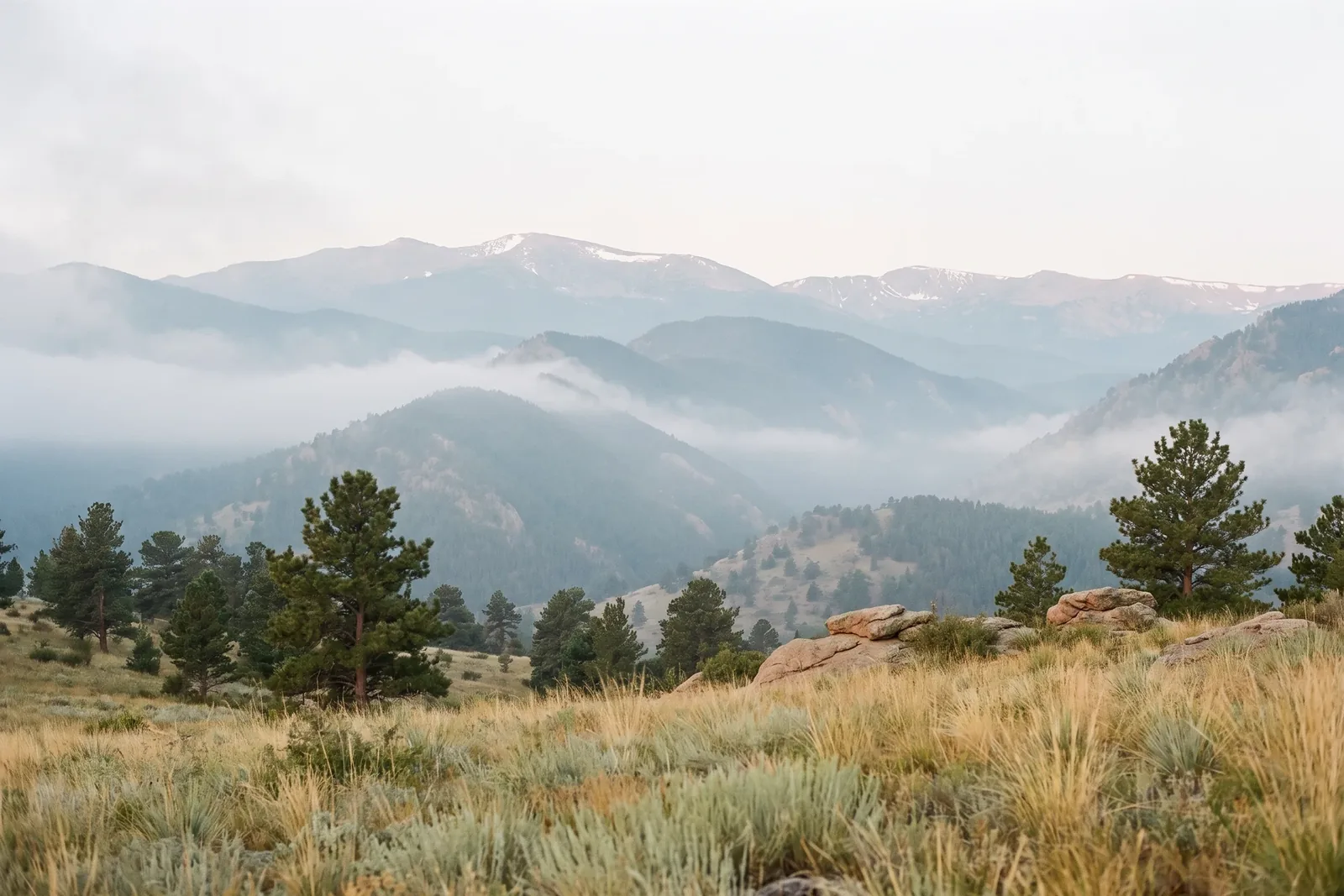 Colorado Front Range foothills with native grasses and layered mountain ridges