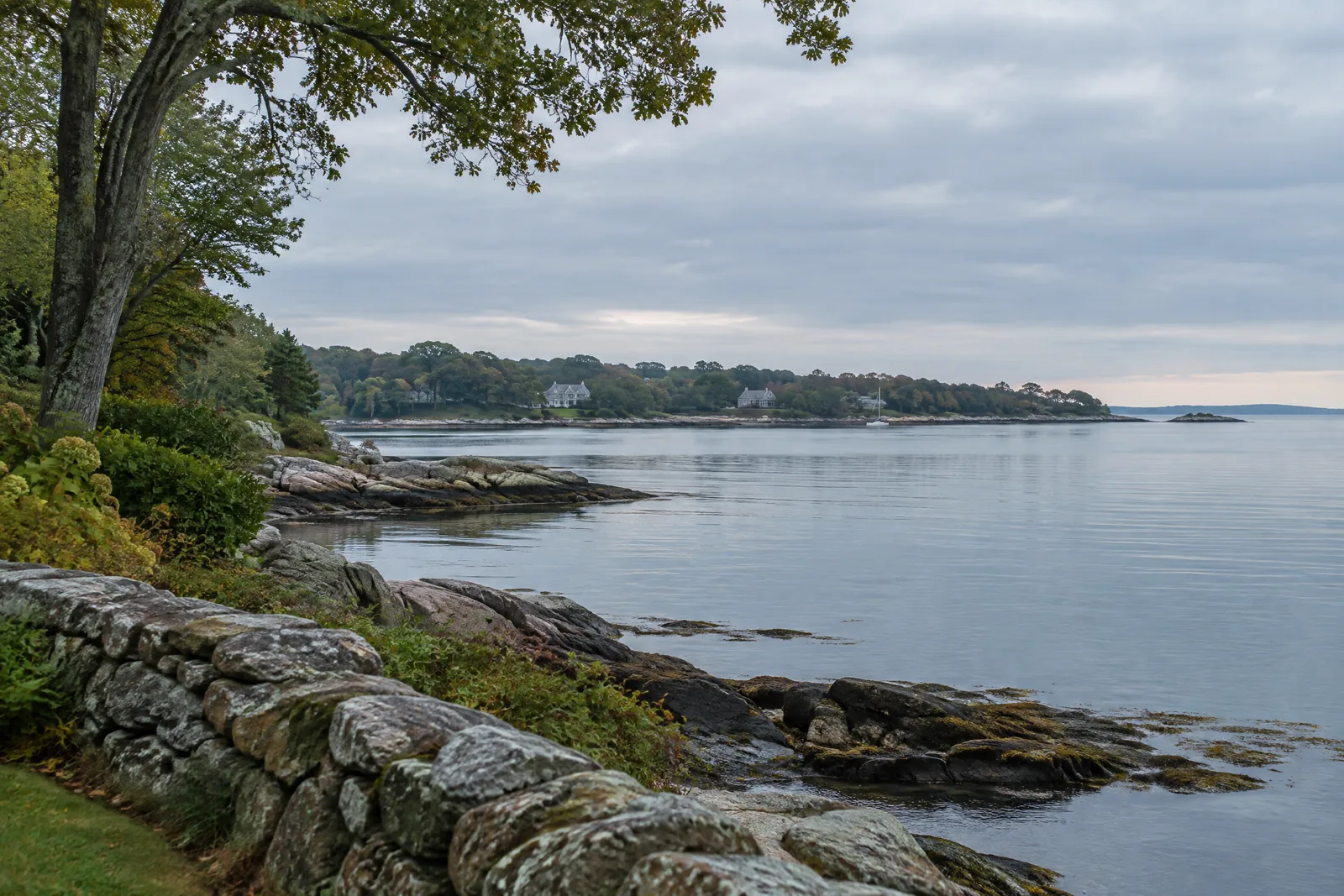 Quiet Connecticut shoreline with stone, mature trees, and Long Island Sound
