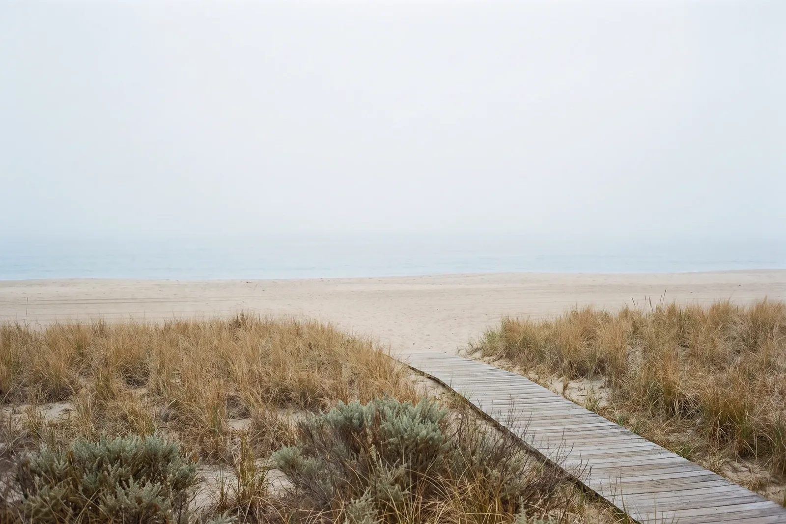 Quiet New Jersey Atlantic shoreline with dune grass and a weathered coastal path